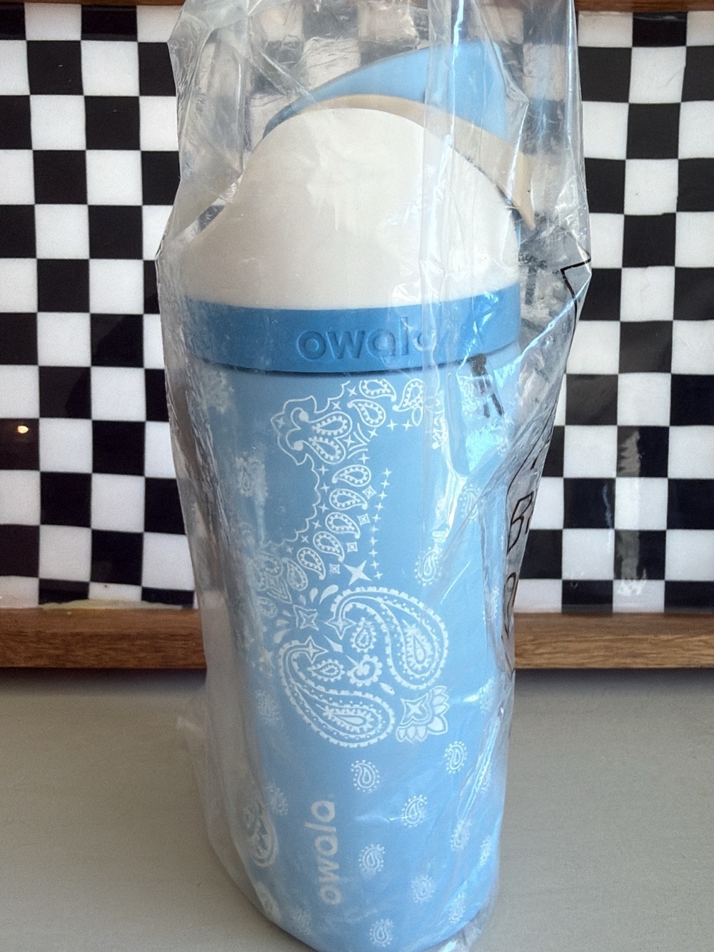 Owala x Cat & Jack 16 fl oz FreeSip - Bandana Rama